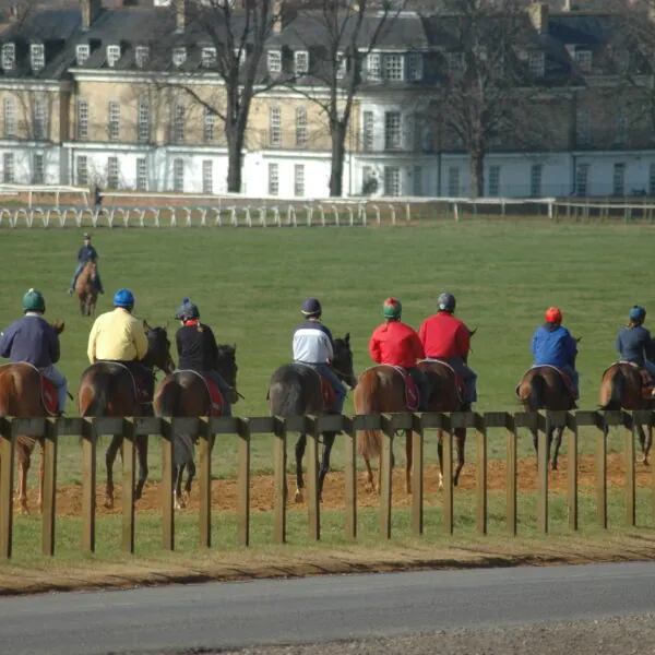 Morning exercise in Newmarket